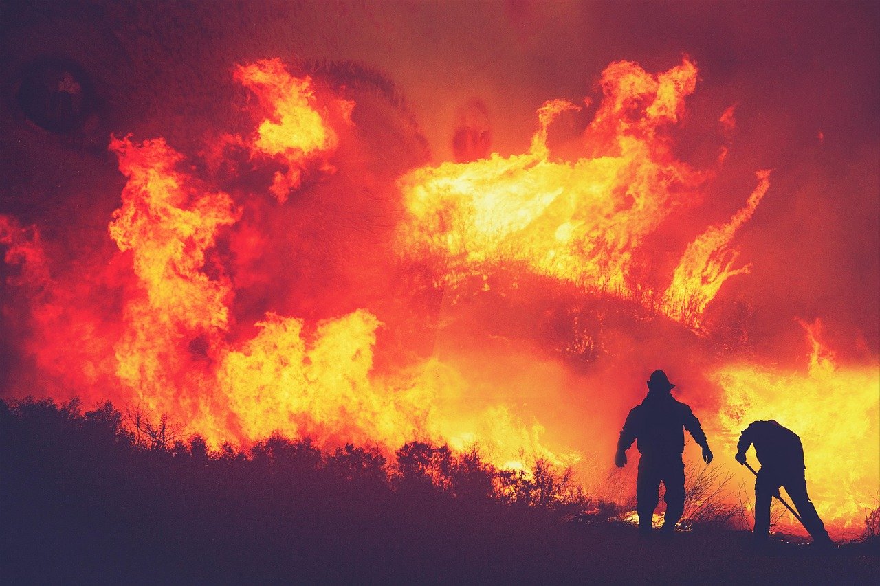 wildfires-1 Les incendies de forêt s'étendent au-delà du pourtour méditerranéen : un défi environnemental majeur